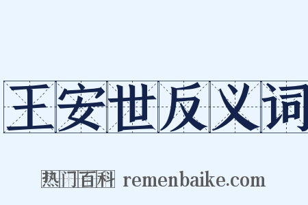 王安世反义词是什么意思的图片